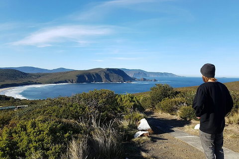 4-Day Fabulous Tasmania Tour: Wineglass Bay, Port Arthur, Devils & Bruny Island - Coogee Beach Accommodation 0