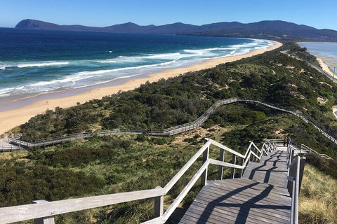 4-Day Fabulous Tasmania Tour: Wineglass Bay, Port Arthur, Devils & Bruny Island - Coogee Beach Accommodation 5
