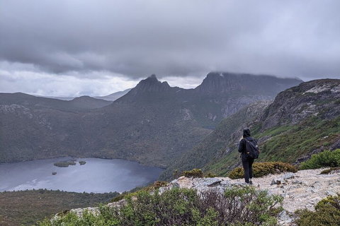 5-Day Best Of Tasmania Tour From Hobart - Coogee Beach Accommodation 3