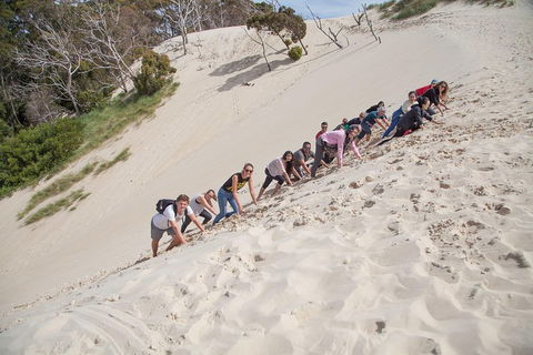 3 Day Tasmanian Wild West Coast Tour From Hobart To Launceston - Coogee Beach Accommodation 2
