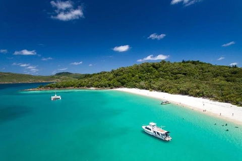 Whitehaven Beach And Hill Inlet | Awesome Beach BBQ | Family Friendly - Coogee Beach Accommodation 3