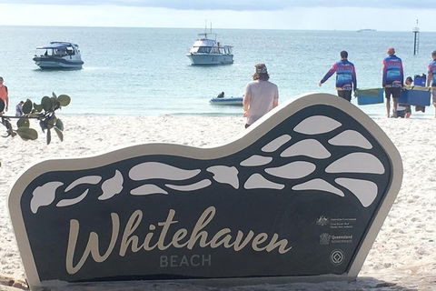Whitehaven Beach And Hill Inlet | Awesome Beach BBQ | Family Friendly - Coogee Beach Accommodation 5