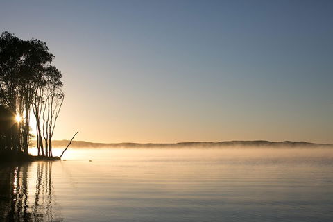 Serenity Cruise To Australia's Everglades - Coogee Beach Accommodation 0