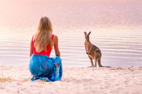Serenity Cruise To Australia's Everglades - Coogee Beach Accommodation 3