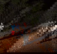 Alice Springs Desert Park Nocturnal Tour - Coogee Beach Accommodation