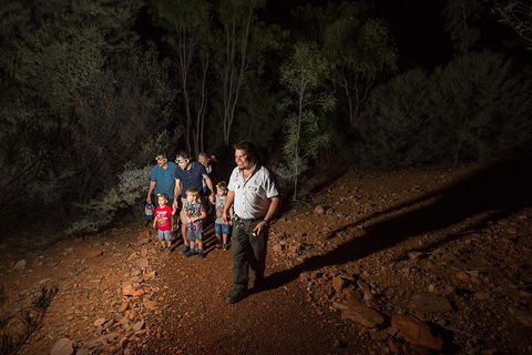 Alice Springs Desert Park Nocturnal Tour - Coogee Beach Accommodation 0