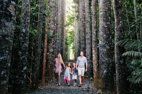The Original Day Tour To Paronella Park, Lake Barrine And Millaa Millaa Falls - Coogee Beach Accommodation 1
