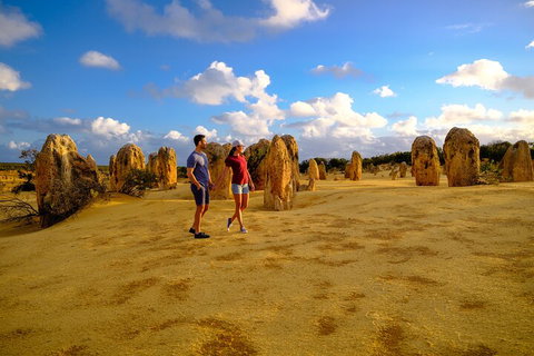 Full-Day Pinnacles Desert And Yanchep National Park Tour From Perth - Coogee Beach Accommodation 4