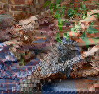 Private Tour Blue Mountains Day Trip from Sydney - Coogee Beach Accommodation