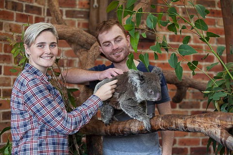 Private Tour: Blue Mountains Day Trip From Sydney - Coogee Beach Accommodation 0