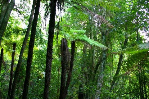 Private Tour: Blue Mountains Day Trip From Sydney - Coogee Beach Accommodation 4