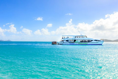 Whitehaven Beach And Daydream Island Cruise - Coogee Beach Accommodation 2
