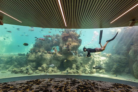 Whitehaven Beach And Daydream Island Cruise - Coogee Beach Accommodation 4