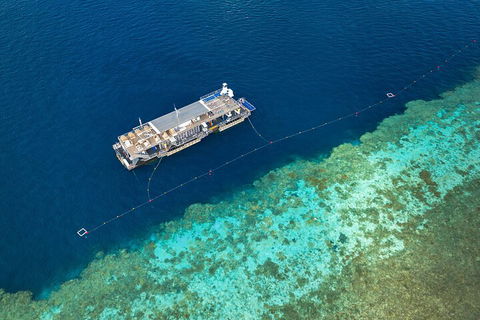 Great Barrier Reef Day Cruise To Reefworld - Coogee Beach Accommodation 2
