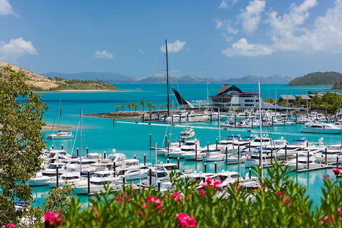 Whitehaven Beach And Hamilton Island Cruise - Coogee Beach Accommodation 3