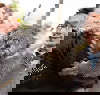 Bonorong Wildlife Park and Richmond Afternoon Tour from Hobart - Coogee Beach Accommodation