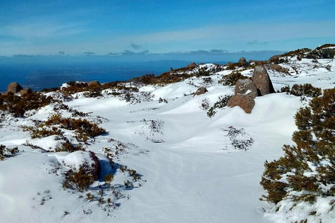 Mount Wellington Ultimate Experience Tour From Hobart - Coogee Beach Accommodation 1