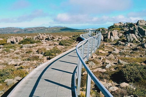 Mount Wellington Ultimate Experience Tour From Hobart - Coogee Beach Accommodation 2