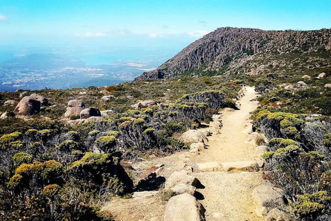 Mount Wellington Ultimate Experience Tour From Hobart - Coogee Beach Accommodation 5