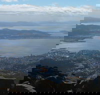 Mt Wellington Tour and MONA Admission - Coogee Beach Accommodation