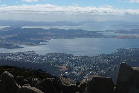Mt Wellington Tour And MONA Admission - Coogee Beach Accommodation 0