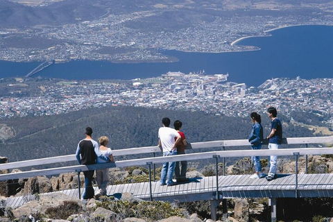 Mt Wellington Tour And MONA Admission - Coogee Beach Accommodation 4