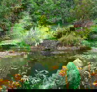 Hobart Half-Day Sightseeing Coach Tram Tour - Coogee Beach Accommodation