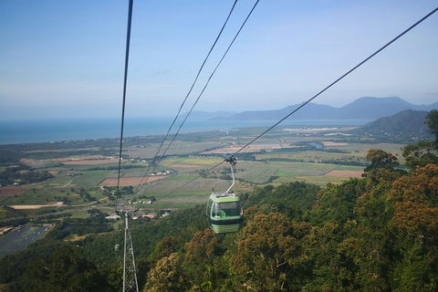 Historic Village Herberton, Kuranda Village And The Skyrail Rainforest Cableway - Coogee Beach Accommodation 5