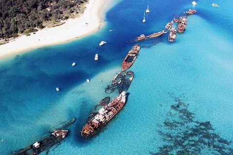 Adventure Moreton Island Day Pass - Coogee Beach Accommodation 2