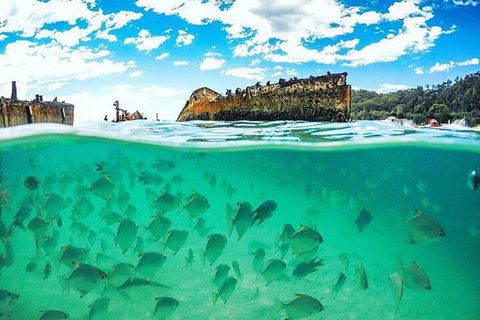 Adventure Moreton Island Day Pass - Coogee Beach Accommodation 4