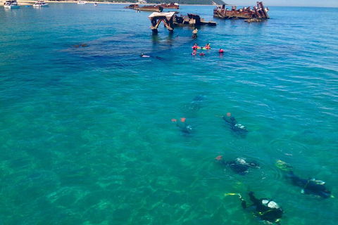 Adventure Moreton Island Scuba Dive Tour - Coogee Beach Accommodation 0