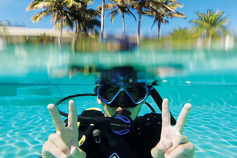 Adventure Moreton Island Scuba Dive Tour - Coogee Beach Accommodation 2