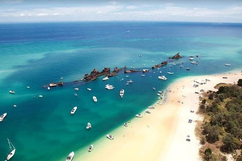Adventure Moreton Island Scuba Dive Tour - Coogee Beach Accommodation 3