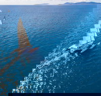 2-Night Whitsunday Islands Sailing Adventure on Trimaran Avatar - Coogee Beach Accommodation