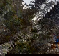 kunanyi / Mt. Wellington Guided Hiking Tour - Coogee Beach Accommodation