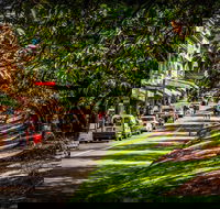 Fully Inclusive Blue Mountains Private Tour inc Scenic World  Featherdale entry - Coogee Beach Accommodation