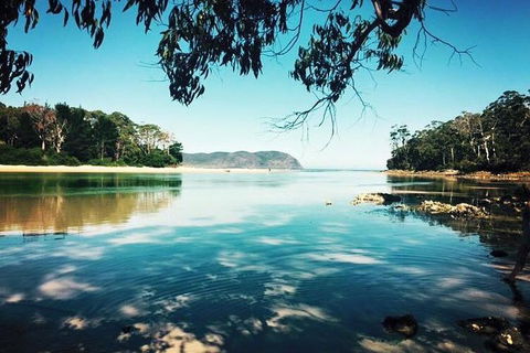Full-Day Guided Bruny Island Tour From Hobart - Coogee Beach Accommodation 1