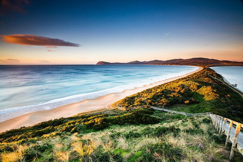 Full-Day Guided Bruny Island Tour From Hobart - Coogee Beach Accommodation 2