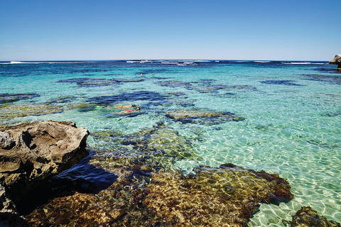 Seaplane Flights Perth To Rottnest Island And Return - Coogee Beach Accommodation 0