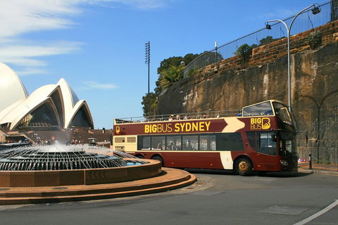 Big Bus Sydney And Bondi Hop-on Hop-off Tour - Coogee Beach Accommodation 3