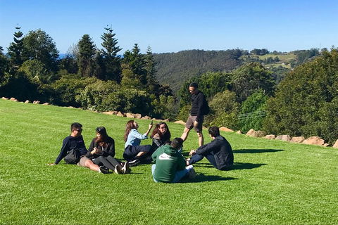 Mt Tamborine - Hinterland Wonders Self Guided - Coogee Beach Accommodation 1