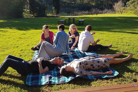 Mt Tamborine - Hinterland Wonders Self Guided - Coogee Beach Accommodation 2