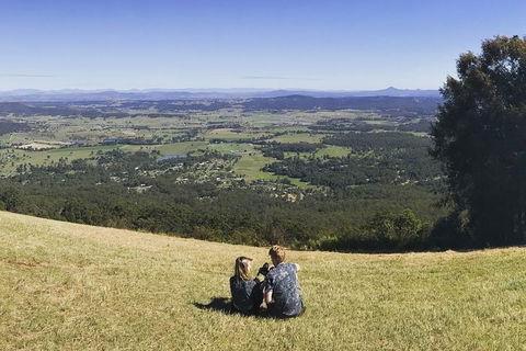 Mt Tamborine - Hinterland Wonders Self Guided - Coogee Beach Accommodation 4