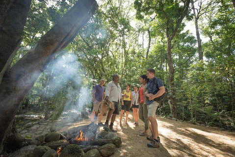 Mossman Gorge Adventure Day - Coogee Beach Accommodation 0