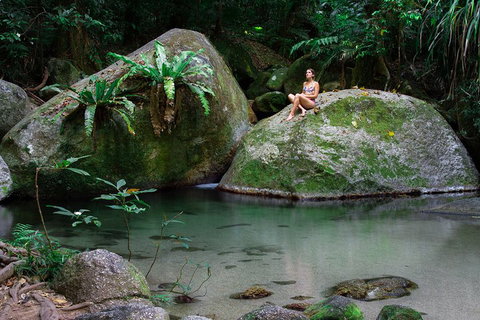 Mossman Gorge Adventure Day - Coogee Beach Accommodation 2