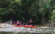 Mossman Gorge Adventure Day - thumb 5