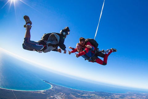 Byron Bay Tandem Sky Dive - Coogee Beach Accommodation 0