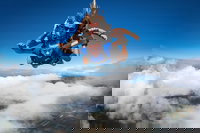 Reef and Rainforest Tandem Sky Dive in Cairns