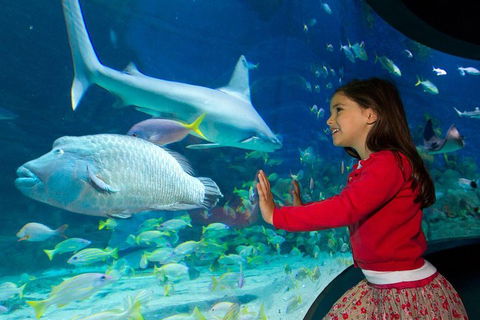 SEA LIFE Melbourne Aquarium Admission Ticket - Coogee Beach Accommodation 1