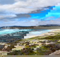 Kangaroo Island Luxury Small Group 'East End Explorer' Full Day Tour - Coogee Beach Accommodation